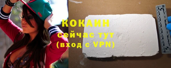 мдпв Ладушкин