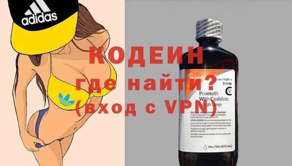 мдпв Ладушкин