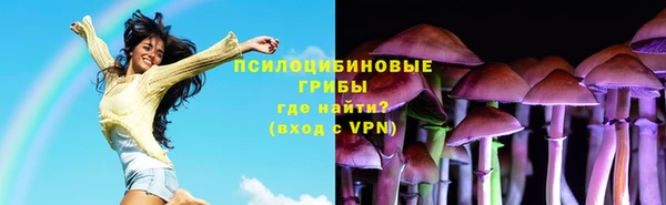 индика Новозыбков