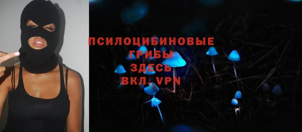 соль ск Нея