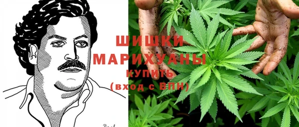 мдпв Ладушкин