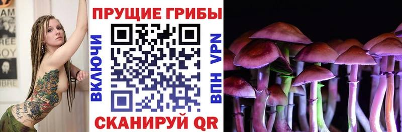 купить наркотик  Жуков  Псилоцибиновые грибы MAGIC MUSHROOMS 